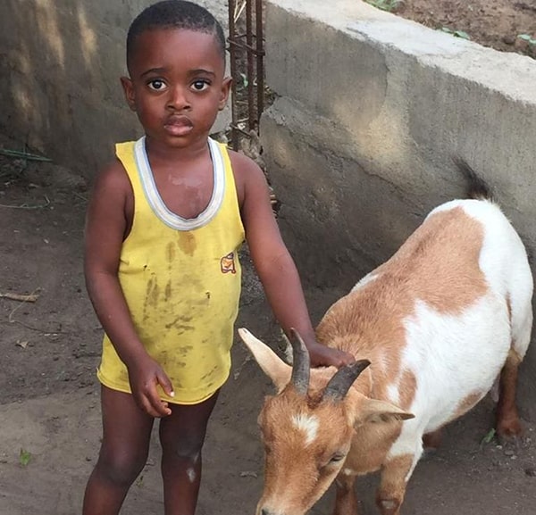 Small boy with a light brown spotted goat