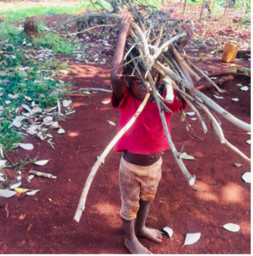 Petero collects sticks so his grandmother can cook.