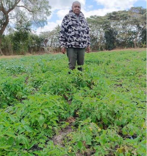 Person in a field